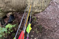gallery_ausflugwaidring25_005